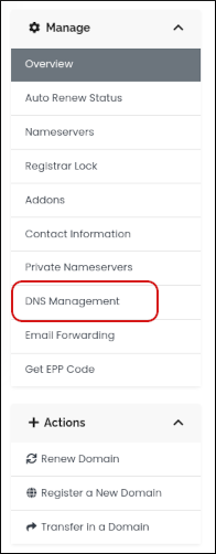 Customer Portal - Domains - DNS Management sidebar menu